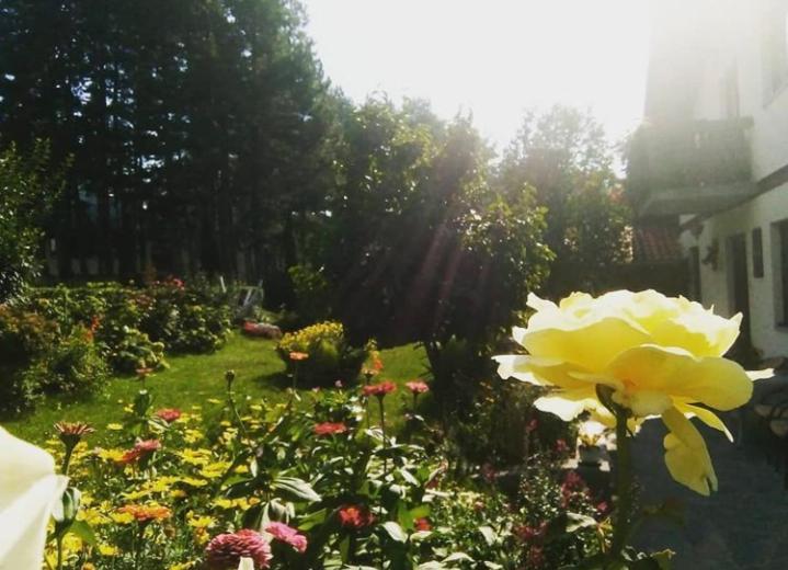 Apartmani Milic Sirogojno Buitenkant foto