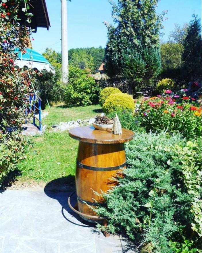 Apartmani Milic Sirogojno Buitenkant foto