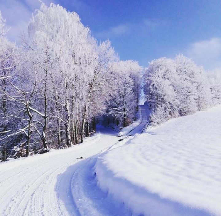Apartmani Milic Sirogojno Buitenkant foto