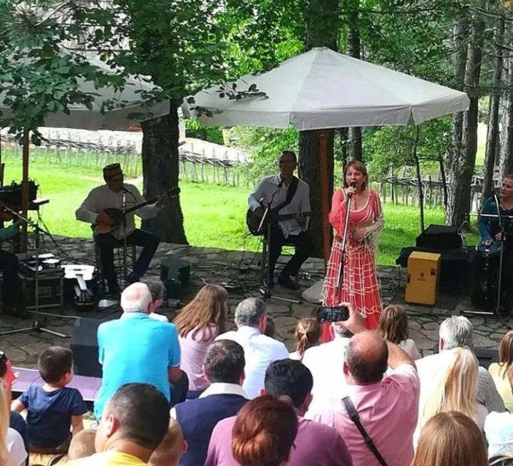 Apartmani Milic Sirogojno Buitenkant foto
