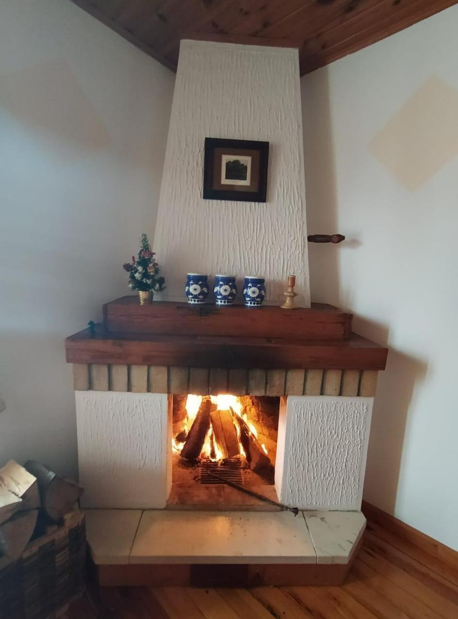 Apartmani Milic Sirogojno Kamer foto