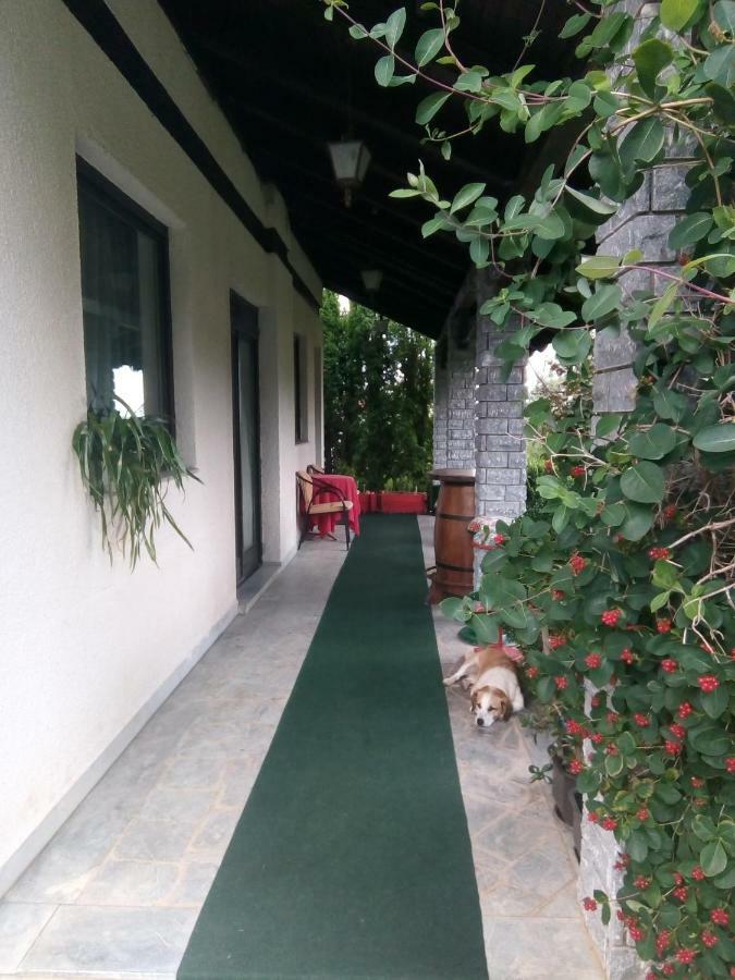 Apartmani Milic Sirogojno Buitenkant foto