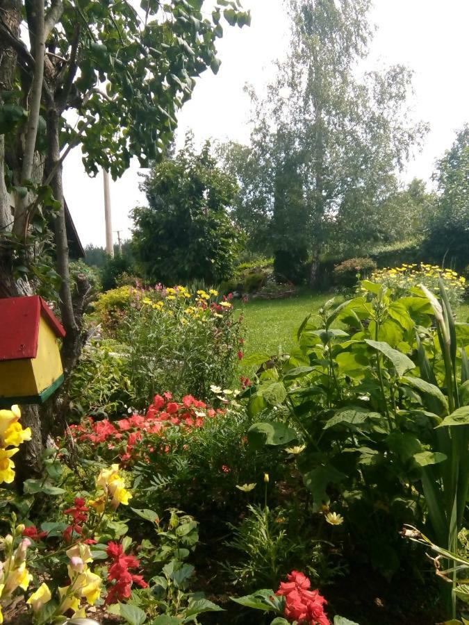Apartmani Milic Sirogojno Buitenkant foto