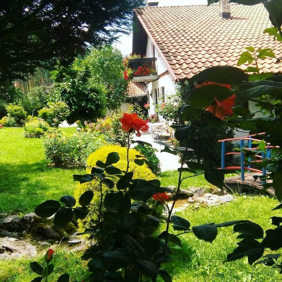 Apartmani Milic Sirogojno Buitenkant foto