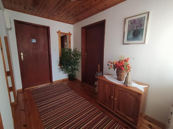 Apartmani Milic Sirogojno Buitenkant foto